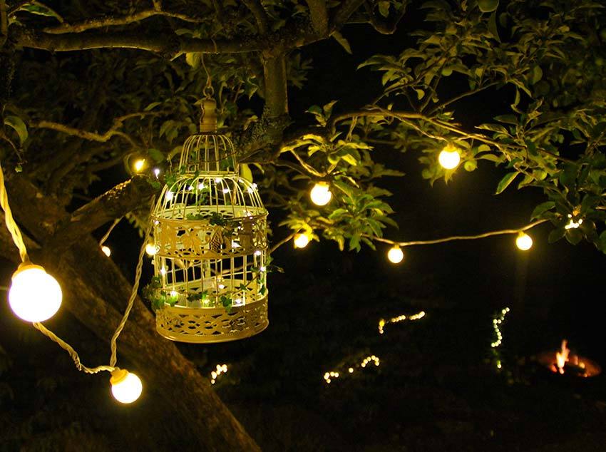 Festoon Lights and Birdcage