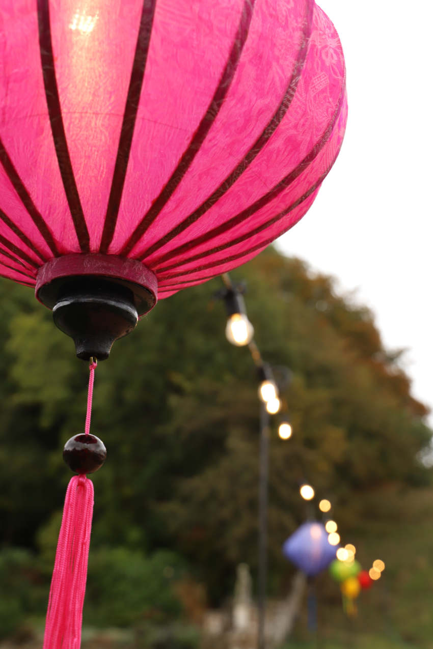 Pink hanging lantern