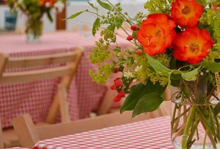 Red and White Check Tablecloths